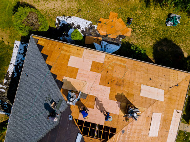 Best Flat Roof Repair Services  in Greenwood, PA